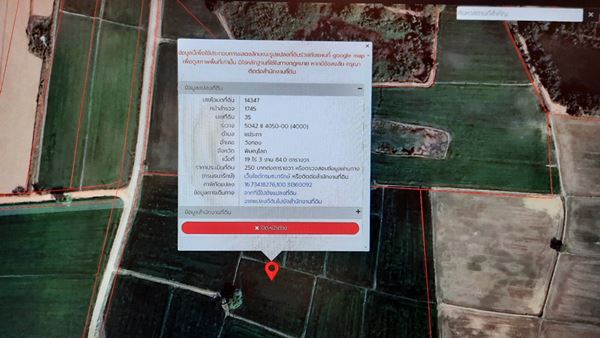 ขายที่ดิน 19 ไร่กว่า ต.แม่ระกา อ.วังทอง จ.พิษณุโลก อยู่ในพื้นที่สีเขียว ทำเลดี โทร 0632897879